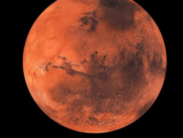 Foto: Getty Images/iStockphoto/Martin Holverda