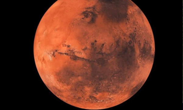 Foto: Getty Images/iStockphoto/Martin Holverda