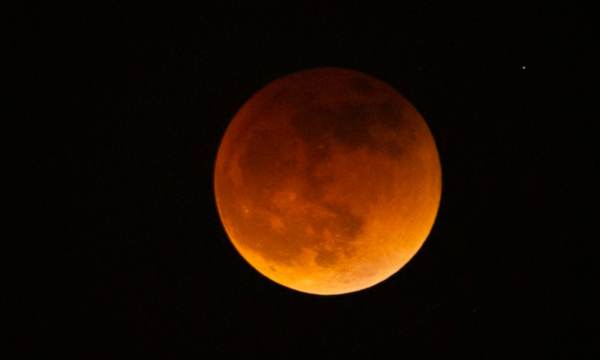 Fenomena Gerhana Bulan Total Blood Moon (Foto: AP Photo/Ringo H.W. Chiu)