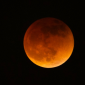 Fenomena Gerhana Bulan Total Blood Moon (Foto: AP Photo/Ringo H.W. Chiu)