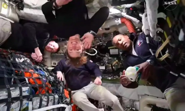 Unik! Astronaut Artemis II Tidur di Luar Angkasa Mirip Kelelawar (Foto: NASA)