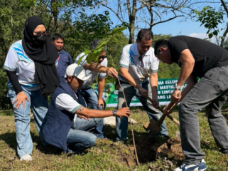 sentul city tanam pohon (foto: ist)