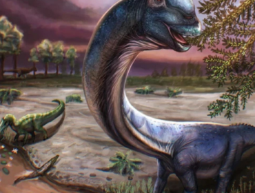 Dinosaurus Terbesar Asia Tenggara Ditemukan di Thailand. (Foto: Patchanop Boonsai)