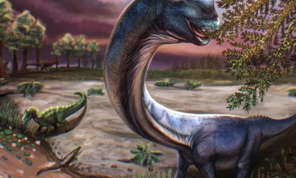 Dinosaurus Terbesar Asia Tenggara Ditemukan di Thailand. (Foto: Patchanop Boonsai)
