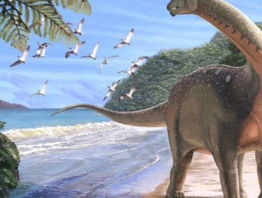 Siapa sih yang bikin hoaks kalau minyak bumi asalnya dari fosil dinosaurus? Soalnya, nggak pernah ada ilmuwan yang menyatakan hal tersebut, loh. (Foto: Andrew McAfee/Carnegie Museum of Natural History/Handout via REUTERS)