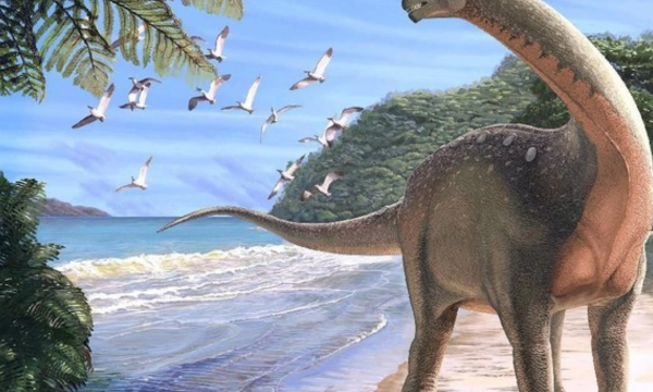 Siapa sih yang bikin hoaks kalau minyak bumi asalnya dari fosil dinosaurus? Soalnya, nggak pernah ada ilmuwan yang menyatakan hal tersebut, loh. (Foto: Andrew McAfee/Carnegie Museum of Natural History/Handout via REUTERS)
