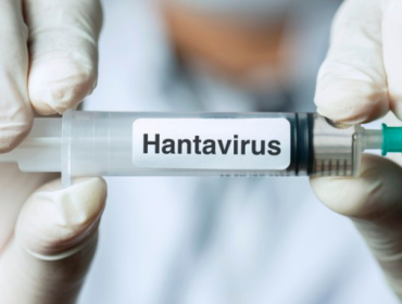 Ramalan Mengerikan Ledakan Populasi Tikus Pembawa Virus Mematikan. (Foto: Getty Images/kemalbas)