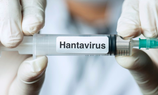 Ramalan Mengerikan Ledakan Populasi Tikus Pembawa Virus Mematikan. (Foto: Getty Images/kemalbas)
