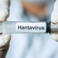 Ramalan Mengerikan Ledakan Populasi Tikus Pembawa Virus Mematikan. (Foto: Getty Images/kemalbas)