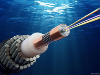 Teknologi Kabel Laut Baru Ini Bikin Internet RI Makin Ngebut, Kapasitas Tembus 1 Tbps (Foto: DW (News))
