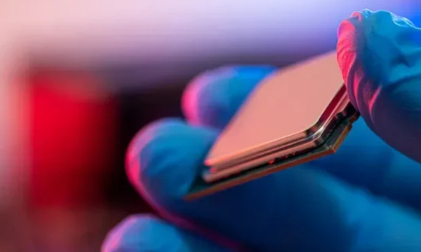Ilustrasi chip. (Foto: via Live Science)