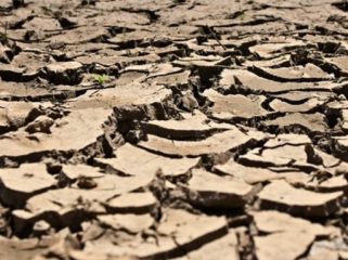Laut Mendidih, El Nino Terparah Diramal Tercipta Akhir Tahun Ini (Foto: Ilustrasi kekeringan sebagai dampak El Nino. (Freepik))