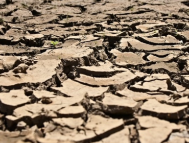 Laut Mendidih, El Nino Terparah Diramal Tercipta Akhir Tahun Ini (Foto: Ilustrasi kekeringan sebagai dampak El Nino. (Freepik))