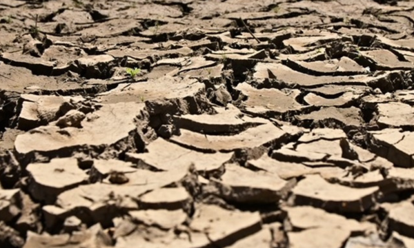 Laut Mendidih, El Nino Terparah Diramal Tercipta Akhir Tahun Ini (Foto: Ilustrasi kekeringan sebagai dampak El Nino. (Freepik))