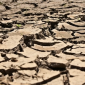 Laut Mendidih, El Nino Terparah Diramal Tercipta Akhir Tahun Ini (Foto: Ilustrasi kekeringan sebagai dampak El Nino. (Freepik))