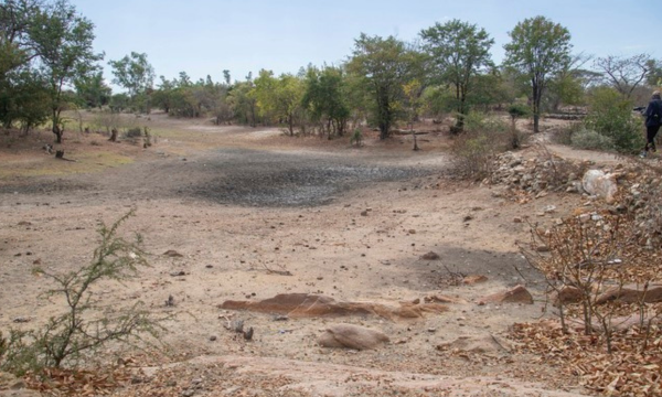 PBB Peringatkan Dampak Mengerikan El Nino, Indonesia Disebut. (Foto: AP/Aaron Ufumeli)
