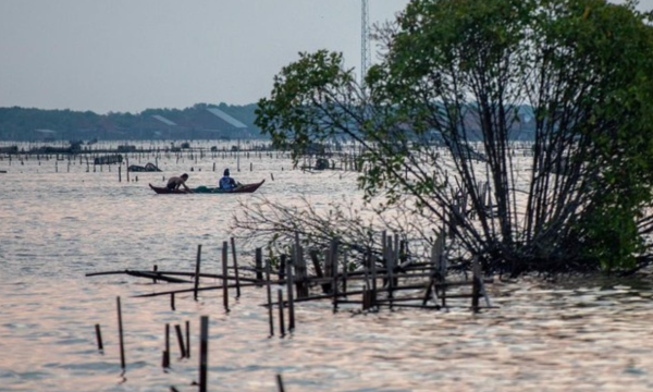 Ilustrasi pantai utara Jawa atau pantura. (Foto: ANTARA FOTO/Aji Styawan)