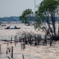 Ilustrasi pantai utara Jawa atau pantura. (Foto: ANTARA FOTO/Aji Styawan)