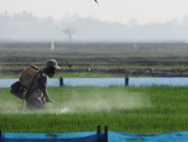 BMKG peringatkan dampak signifikan El Niño di beberapa wilayah hingga 
Oktober mendatang. (Foto: REUTERS/Willy Kurniawan)
