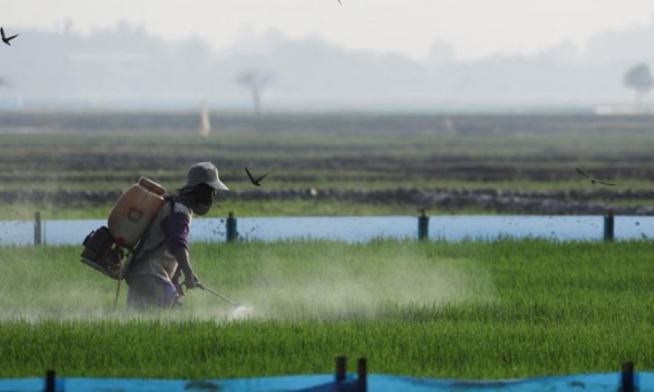BMKG peringatkan dampak signifikan El Niño di beberapa wilayah hingga 
Oktober mendatang. (Foto: REUTERS/Willy Kurniawan)

