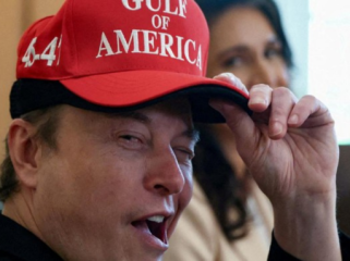 Elon Musk saat masih jadi pejabat di pemerintahan AS (Foto: 
REUTERS/Evelyn Hockstein)
