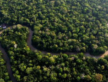 Hutan Amazon ternyata mendapat unsur hara dari debu Sahara yang 
beda benua (Foto: DW News)
