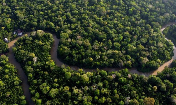 Hutan Amazon ternyata mendapat unsur hara dari debu Sahara yang 
beda benua (Foto: DW News)
