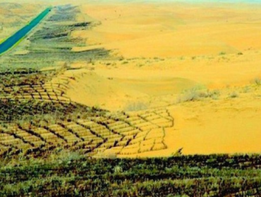 Tembok Hijau China Bikin Pohon Tumbuh Lebih Cepat, Kok Bisa?
(Foto: Desertification)
