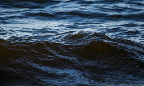 Ilustrasi lautan (Foto: Getty Images/iStockphoto/AndrisBarbans)