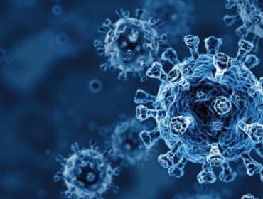 Ilustrasi. Ilmuwan menciptakan virus bakteriofag pertama menggunakan AI, 
efektif melawan E. coli kebal. Penemuan ini menimbulkan pro kontra terkait 
biosekuritas. (Foto: iStockphoto/BlackJack3D)
