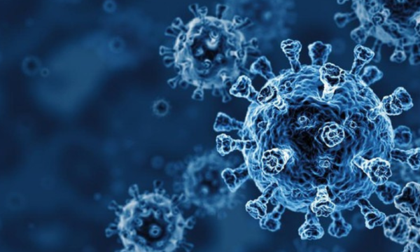 Ilustrasi. Ilmuwan menciptakan virus bakteriofag pertama menggunakan AI, 
efektif melawan E. coli kebal. Penemuan ini menimbulkan pro kontra terkait 
biosekuritas. (Foto: iStockphoto/BlackJack3D)
