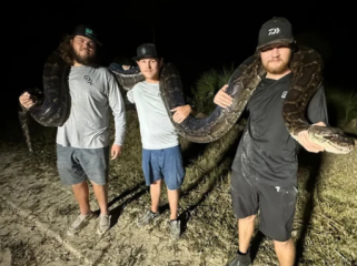 Kompetisi tangkap ular piton di Florida. (Foto: Fox News)