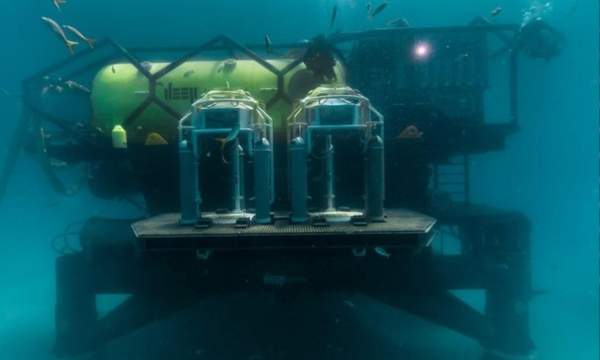Startup Ini Bikin Tempat Tinggal di Bawah Laut Ala Bikini Bottom
(Foto: DEEP)
