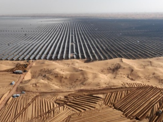 Studi terbaru menunjukkan ekspansi solar panel di China menurunkan keanekaragaman burung. (Foto: AFP/STR)