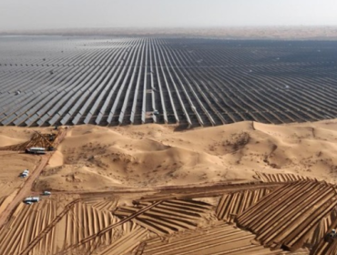 Studi terbaru menunjukkan ekspansi solar panel di China menurunkan keanekaragaman burung. (Foto: AFP/STR)