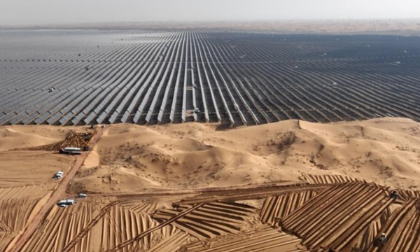 Studi terbaru menunjukkan ekspansi solar panel di China menurunkan keanekaragaman burung. (Foto: AFP/STR)