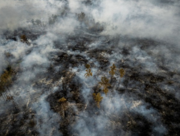 Foto udara asap membubung dari lahan gambut yang tebakar di 
Kalimantan Selatan. (Foto: ANTARA FOTO/Bayu Pratama S)
