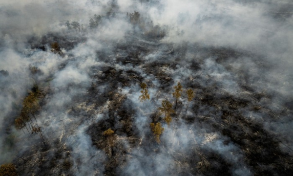 Foto udara asap membubung dari lahan gambut yang tebakar di 
Kalimantan Selatan. (Foto: ANTARA FOTO/Bayu Pratama S)
