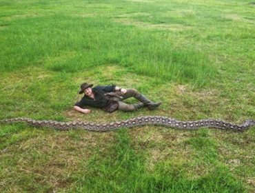 Ibu Baron, ular liar terpanjang yang ditemukan di Sulawesi. (Foto: 
Guinness World Records)
