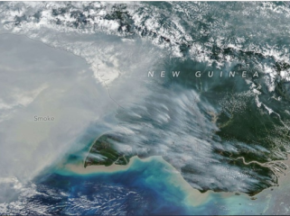NASA menampilkan asap kebakaran Papua dari satelit NOAA-20. Emisi di wilayah Indonesia diperkirakan melampaui 35 juta ton karbon.(Foto: NASA Earth Observatory)