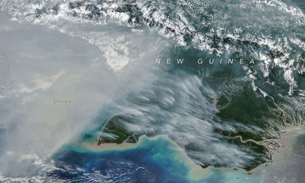 NASA menampilkan asap kebakaran Papua dari satelit NOAA-20. Emisi di wilayah Indonesia diperkirakan melampaui 35 juta ton karbon.(Foto: NASA Earth Observatory)