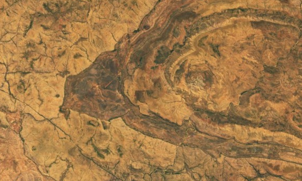 NASA menemukan sebuah kawah menyerupai laba-laba raksasa yang 
membentang di lanskap wilayah Kimberley, Australia. (Foto: NASA Earth 
Observatory/Michala Garrison)
