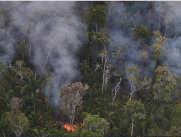 Penebangan hutan atau deforestasi hutan hujan Amazon, Brasil, mencapai 
titik terendah dalam sejarah. Ilustrasi. (Foto: REUTERS/Bruno Kelly)
