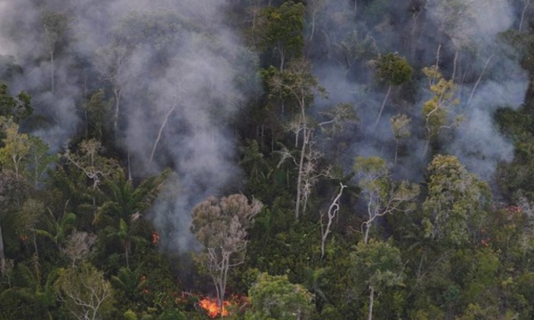 Penebangan hutan atau deforestasi hutan hujan Amazon, Brasil, mencapai 
titik terendah dalam sejarah. Ilustrasi. (Foto: REUTERS/Bruno Kelly)
