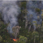 Penebangan hutan atau deforestasi hutan hujan Amazon, Brasil, mencapai 
titik terendah dalam sejarah. Ilustrasi. (Foto: REUTERS/Bruno Kelly)
