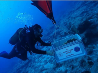 Pengangkutan benda di bangkai kapal tertua dunia di Turki. (Foto: 
Euro News)
