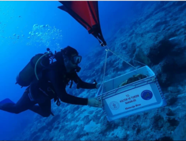 Pengangkutan benda di bangkai kapal tertua dunia di Turki. (Foto: 
Euro News)

