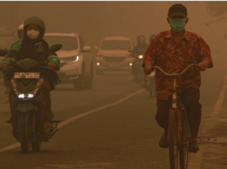Pengguna kendaraan melintas di jalanan yang terdampak asap 
kebakaran hutan dan lahan di Palangka Raya, Kalimantan Tengah, 
Sabtu (24/10/2026). (Foto: ANTARA FOTO/Auliya Rahman)
