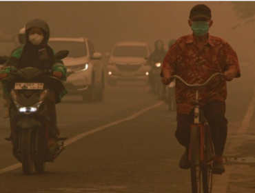 Pengguna kendaraan melintas di jalanan yang terdampak asap 
kebakaran hutan dan lahan di Palangka Raya, Kalimantan Tengah, 
Sabtu (24/10/2026). (Foto: ANTARA FOTO/Auliya Rahman)
