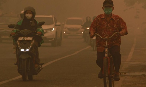 Pengguna kendaraan melintas di jalanan yang terdampak asap 
kebakaran hutan dan lahan di Palangka Raya, Kalimantan Tengah, 
Sabtu (24/10/2026). (Foto: ANTARA FOTO/Auliya Rahman)
